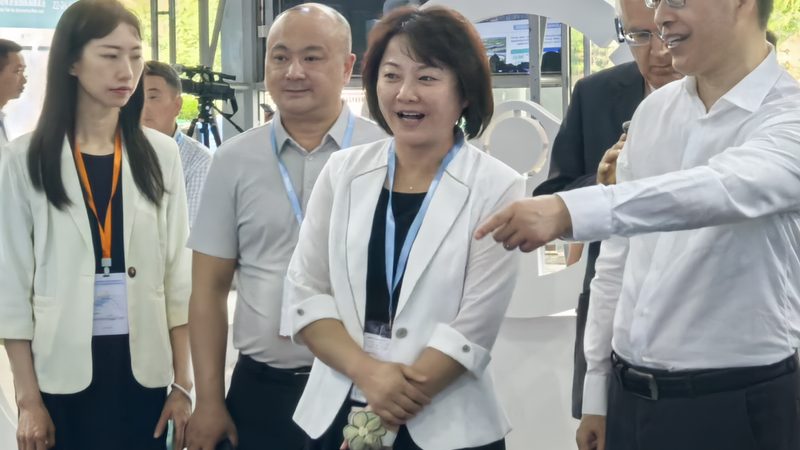 减震弹簧：汽车悬挂系统的“缓冲大师